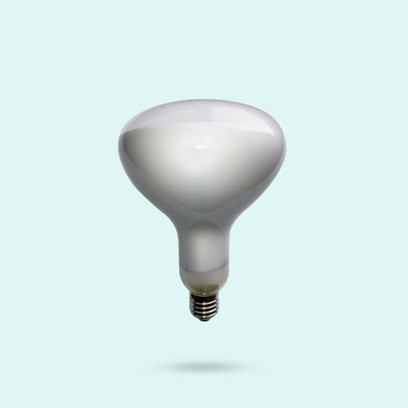 Lampadine